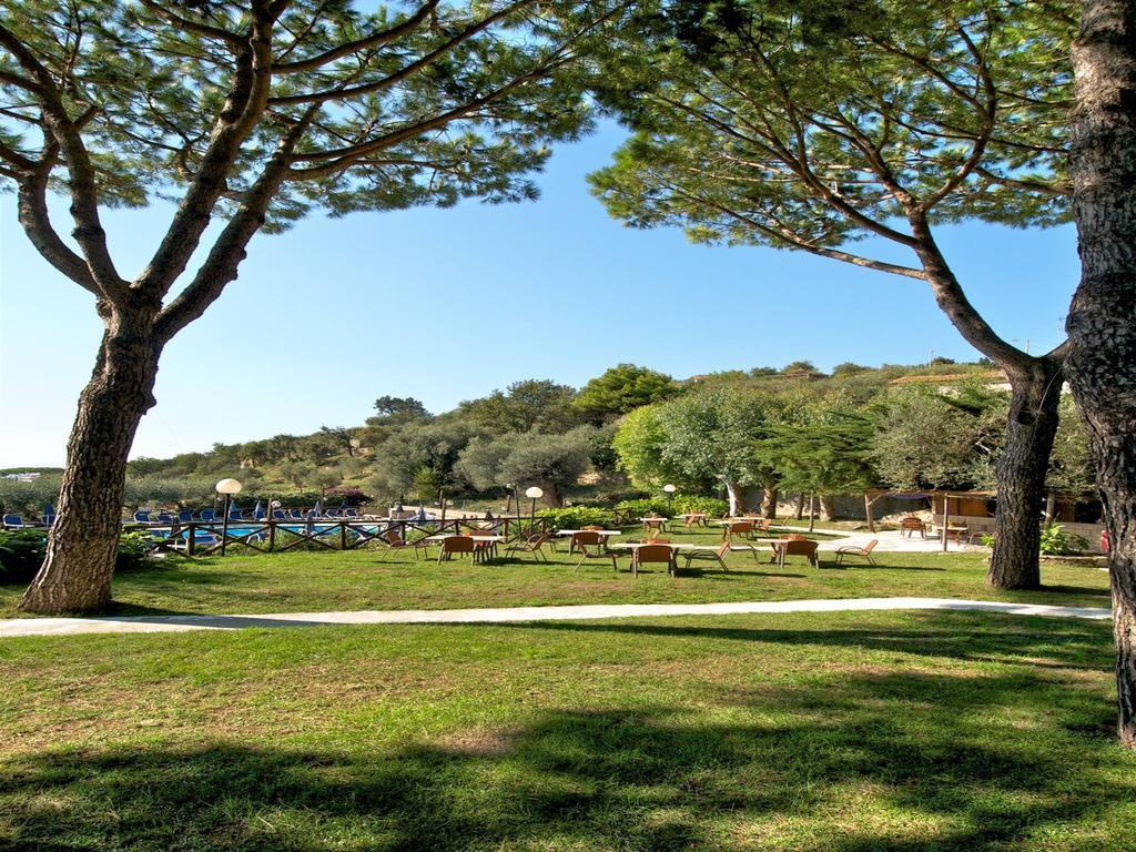 Freedom Holiday Residence Massa Lubrense Esterno foto